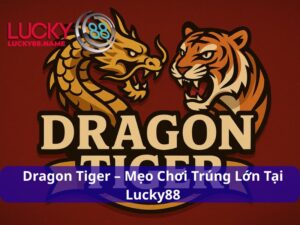 Dragon Tiger – Trò chơi đối kháng tốc độ cao cho người chơi hiện đại